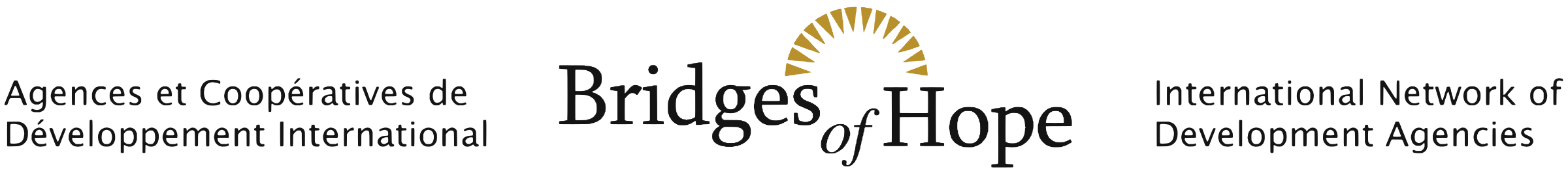 Bridges of Hope, International Network of Development Agencies