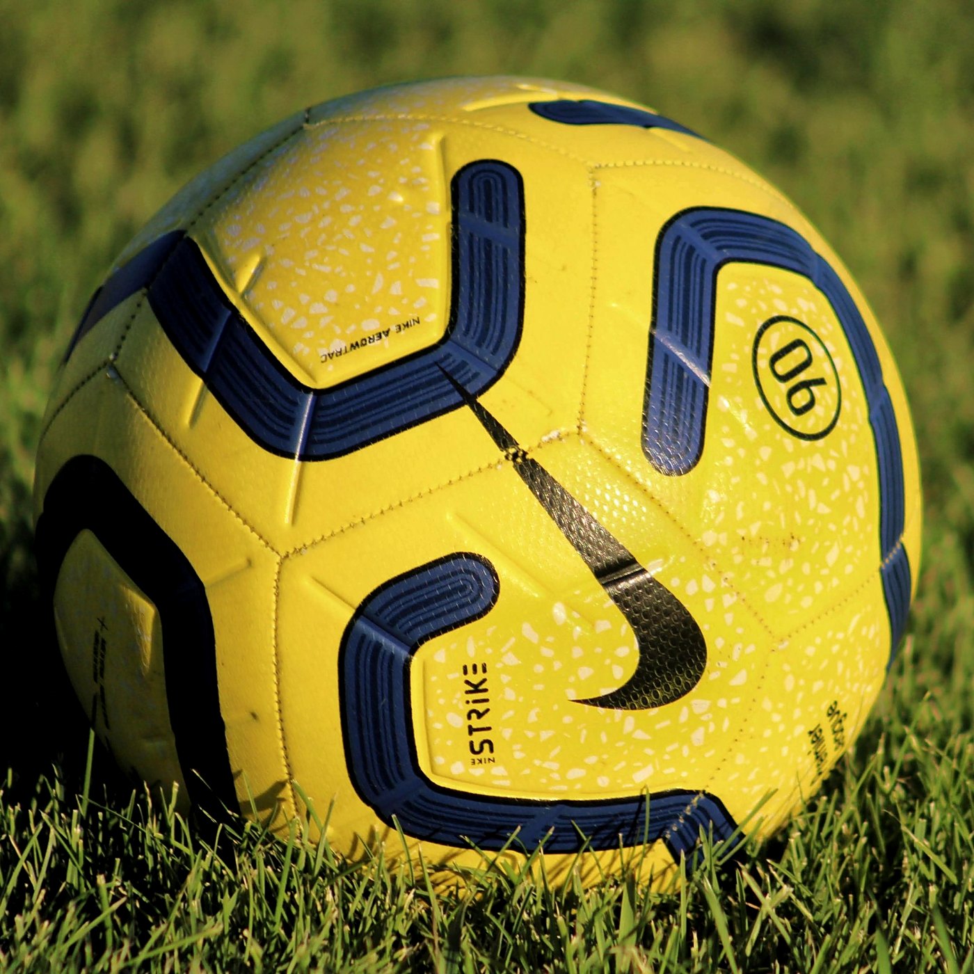 Two Soccer Balls